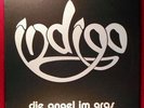 Indigo – Die Angel Im Gras (1978) Cosmic Kraut -  Private Press