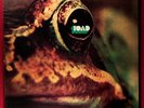 Toad – Same (1971) Heavy Psych Kraut - Great Swiss Classic - Top Original