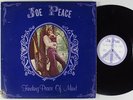 JOE PEACE Finding Peace of Mind RITE LP VG++/NM private psych folk