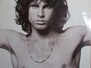 Doors The Best of the Doors Doppel LP Vinyl Schallplatte