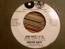 northern soul 45 MARVIN GAYE how sweet it is  TAMLA promo