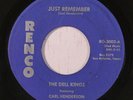 rare Texas Soul 45 DELL KINGS on RENCO Listen