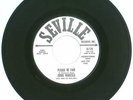 45 RPM, Ernie Maresca, Seville Records 129, Promo, Please Be Fair, Rare Doo-Wop