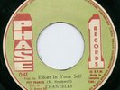 RARE 1977 ROOTS REGGAE - THE CHANTELLS - EFFORT IN YOURSELF - PHASE 1 hear ???