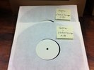 Gojira - L'Enfant Sauvage - Testpressung Test Pressing Vinyl Charity