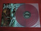 INCANTATION Onward to Golgotha LP 1992 Relapse Rec FIRST PRESS RED VINYL DEATH