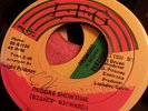 Rare Digi Killer Dancehall Bishop Richard Reggae Showtime 45