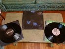 Wolves in the Throne Room 