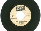 RARE 45 RPM, The Revels, Sounds Records 135, Dream My Darling Dream/Cha Cha Toni