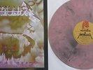 Metallica LP Creeping Death in pink mamorierten Vinyl Insert Cover