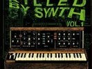 KILLED BY SYNTH #1 comp LP ..500 made..gReAt 1977-1986 USA synth pUnK blasters..