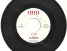 THE ORPHANS AKA AL'S UNTOUCHABLES VERY RARE 45