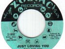 Northern 60's Chicago Crossover Soul-Ruby Andrews-Just Loving You-US Zodiac