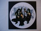 Immortal - Battles In The North PIC-LP lim. 500 Top Zustand Emperor Enslaved