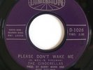 Girl Group 45 CINDERELLAS Please Don't Wake Me / Baby Baby on Dimension VG++