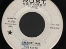 (Hear) 1968 The Raven Mod Garage Freakbeat Fuzz DJ 45 (Calamity Jane)