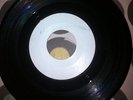 THE BLACK BEATLES /REGGAE AND SHOUT / LENOX BROWN, THE GREEN HORNET/ WHITE LABEL