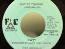 JAMES WALSH GYPSY cuz it's you girl / rainbow 7