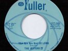 GARAGE PUNK + ROCKABILLY--JESTERS IV--HEAR BOTH--1966 FLORIDA FULLER