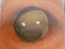 BRAZIL PROGRESSIVE FOLK PSYCH TOM ZE TODOS OS OLHOS GRUPO CAPOTE ORIGINAL LISTEN