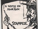 Stampede Notch On Your Gun 7