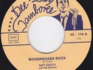 NAT COUNTY and the BRAVES Woodpecker Rock /7