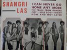 THE SHANGRI LAS    Vogue 28009