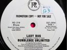 * BUMBLEBEE UNLIMITED Lady Bug RARE DISCO BREAKS PATRICK ADAMS Red Greg 12