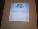 NICK CASTRO A SPY IN THE HOUSE lmtd ARTIST EDITION rare drake psych folk acid LP