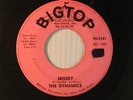 DYNAMICS northern 45 MISERY / I'M THE MAN BIG TOP VG