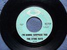 The Sting Rays..I'm Gonna Surprise You, Lady Be Good..Surf Garage Guitar 45 1963