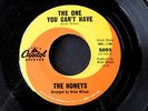 The HONEYS One You Can't Have / From Jimmy MINT rare '63 surf pop Brian Wilson 