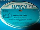 Anthony Johnson Dance Hall Vibes Rare Killer Digi 12