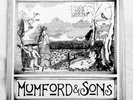 RARE Mumford and Sons 'Love Your Ground' EP VINYL