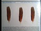 The Appleseed Cast Low Level Owl : Volumes I+II Limited Edition Color Vinyl