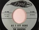 Sweet Soul 45 WHISPERS As I Sit Here / Shake It Shake It on Dore NM