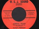 DANNY FREEMAN & THE SOUL SUPERIORS Jungle Walk FUNK/PSYCH/FUZZ 45 Listen