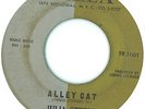 Rare Mod New Breed R&B DJ Screamer 45 Julia Steele Alley Cat Listen