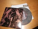 CONVERGE / NAPALM DEATH split 7