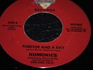 .FOREVER AND A DAY....NEWMONICS....ORIGONAL..NORTHERN SOUL./MODERN SOUL