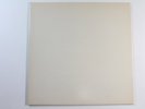 Vinyl - Rarität The Beatles “White Album”