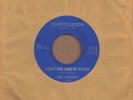 Gene Chandler - I Can Take Care Of Myself / I Cant Save It - Constellation