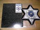 THE POLICE MESSAGE IN A BOTTLE RARE USA BADGE PICTURE DISC VINYL 2TK 7