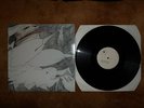 Rudimentary Peni Echoes of Anguish 12