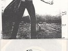 Sonic Youth Sonic Death 7