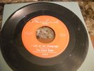 The Lemon Drops I Live in the Springtime garage 45 on Rembrandt hear it