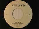 THE RUN-AROUNDS Detroit teen/doo wop 45 OH WHY / SUCH A NIGHT  HYLAND VG++ to M-
