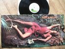 ROXY MUSIC