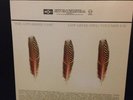 The Appleseed Cast Lower Level Owl: 1-2 Vinyl 3xcolor LP