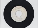 BLANK/MR NATTY DREAD  -  M PERRY   (REGGAE ROCKERS 7